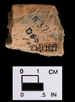 Gravel-tempered sherd, exterior (left) and interior (right), indeterminate vessel. Delaware site 7K-E-78.